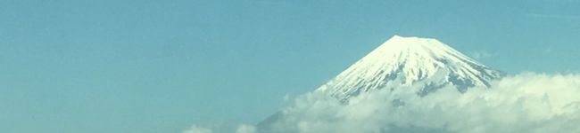 Ｍｓカクテル's header image