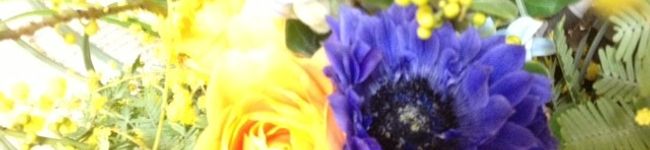 mira。's header image