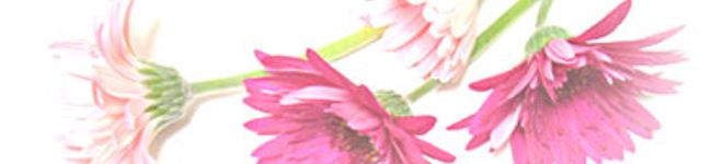あいるんるん's header image