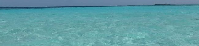 hitoming44's header image