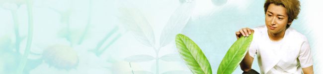 ＊砂糖＊'s header image