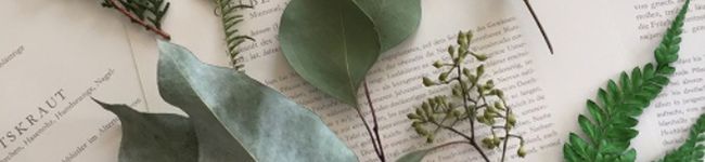 ☻fika☻'s header image