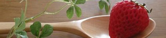 rio3102's header image