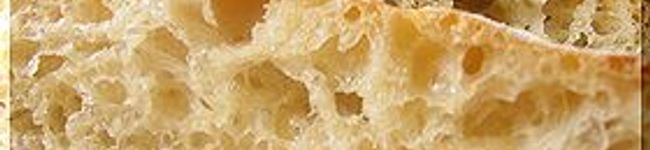 bellelinko's header image