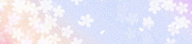 さち。ﾂｰﾂｰ's header image