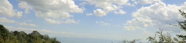いもとく's header image