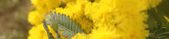 ｓｏｒａ☆'s header image