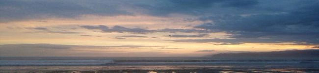 菜子夏's header image