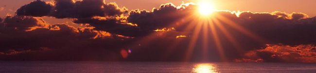 uriuri*'s header image