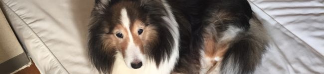 milky2001's header image