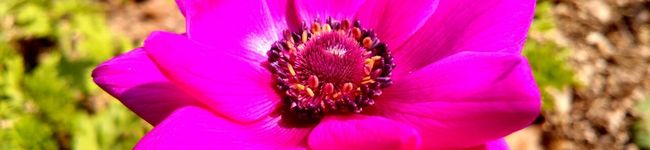 sindy0922's header image