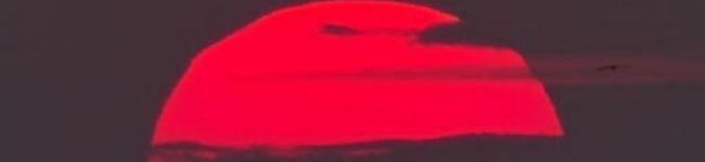 玉葱探偵団's header image