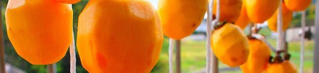 ally1216's header image