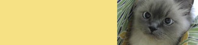 ハマ麹's header image
