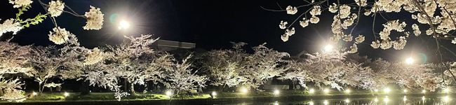 はべる's header image