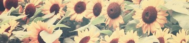 あいちゃんれしピ's header image