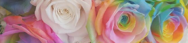 さありんまま's header image