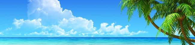 Allie83's header image
