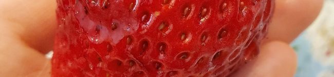 凪凪凪's header image