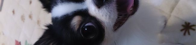 akky1124's header image