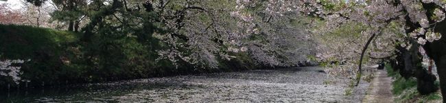 nontan1225's header image