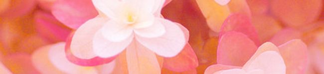 moriety's header image