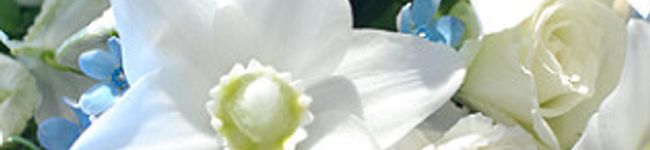 puramoon's header image