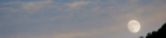konohanote's header image