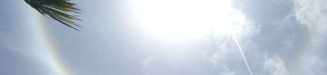 bethkota's header image