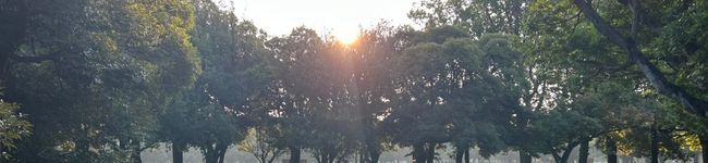 kazkaz☆'s header image