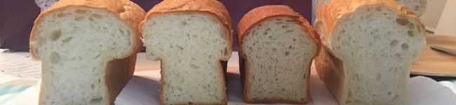 a5005549's header image