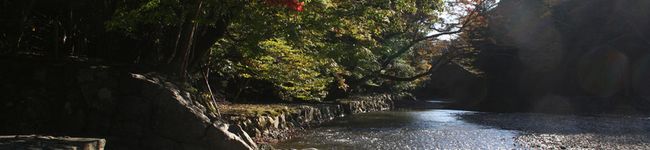 わしワシわし's header image