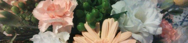 mizuai's header image
