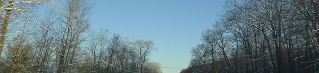 marippe。's header image