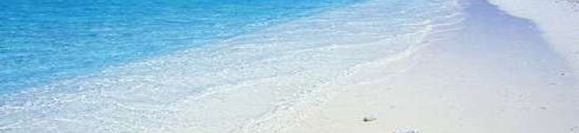 10572's header image
