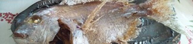 satorey's header image