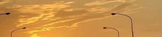 naco3969's header image