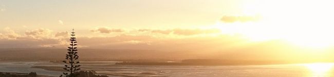 kiwicafe's header image