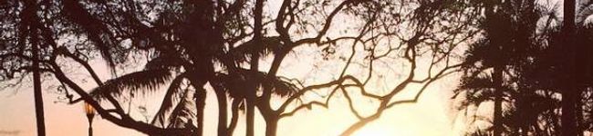 KENKAZママ's header image