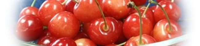 anarchych's header image