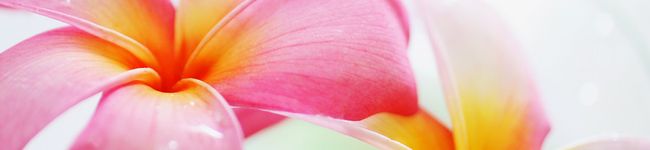 fieldmum's header image