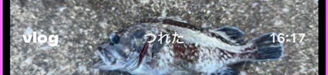 腹ぺこ丸's header image