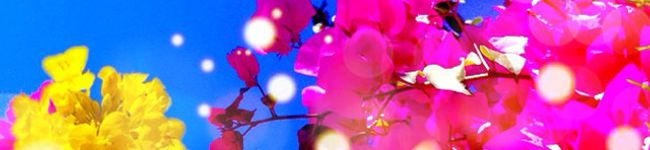 cherinco's header image
