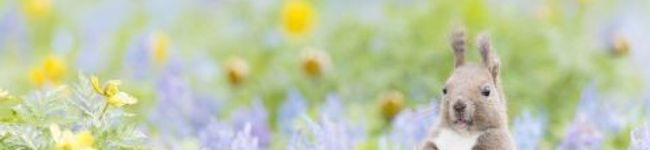 Smileカフェ's header image