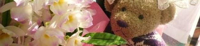 LAYLA*'s header image