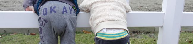 shiho73's header image