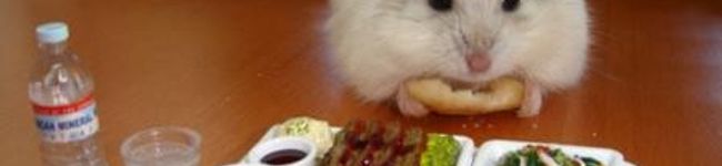 katusand0's header image
