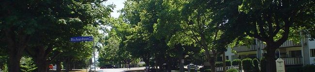 Richardson's header image