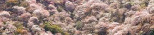 サイプレッソ's header image