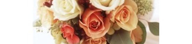 tari810's header image